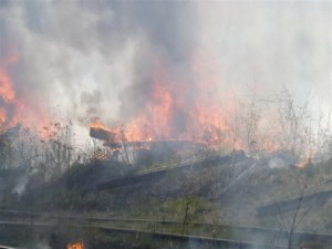 courtesy of Grafton News