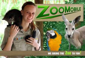 zoomobile