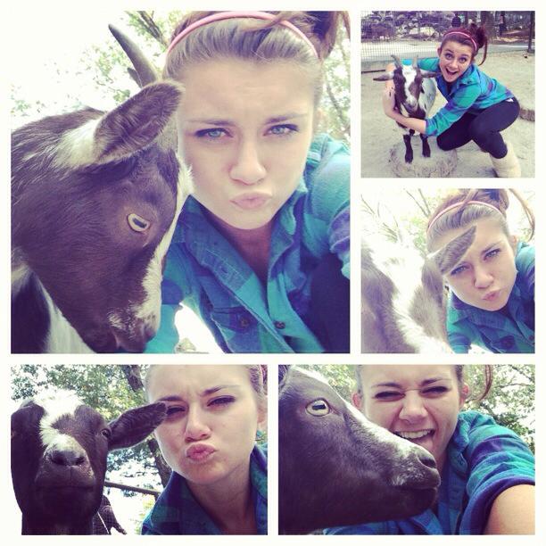 southwickpetting zoo