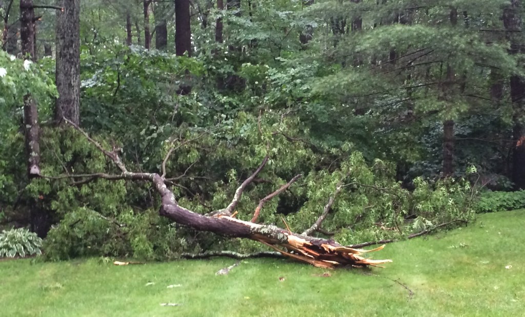 Lightening Strike - Submitted by John Reed