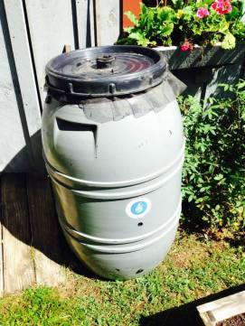 rain barrel