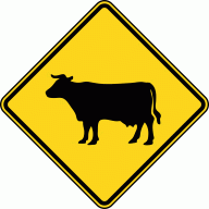 cowcrossing