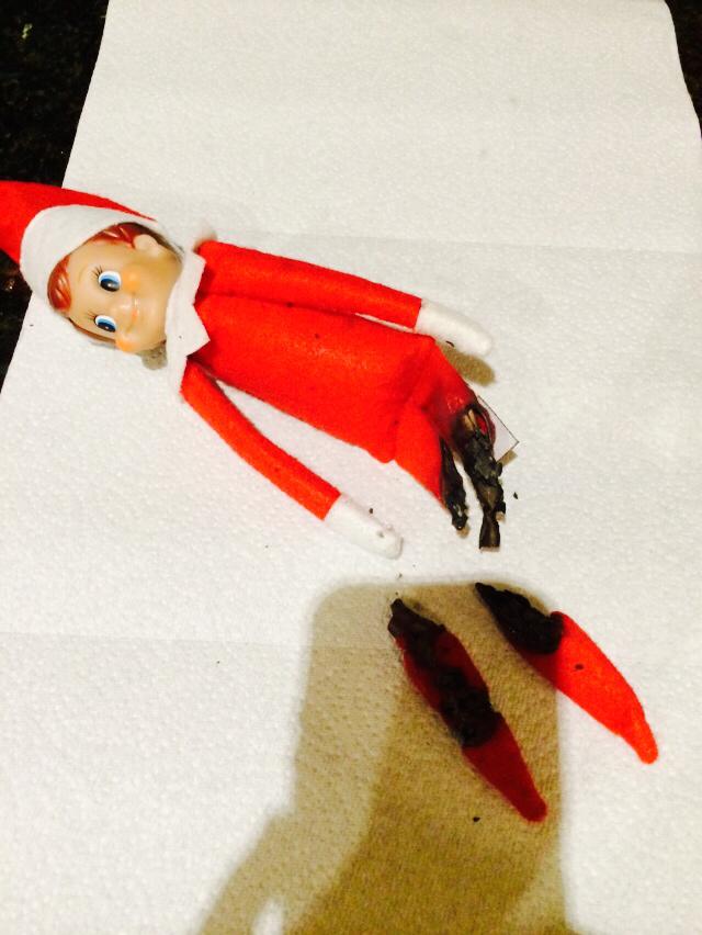 elf on a shefl
