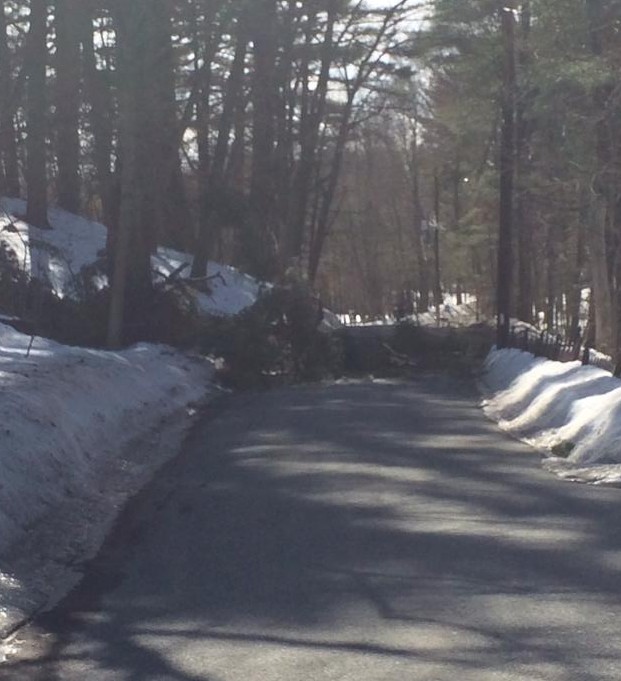 1525450_824178997651771_852027224961804620_n (1)