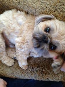 kenne what you looking at