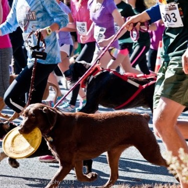 event_photo-557073fd5d8e9