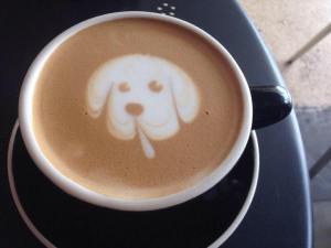 12004088_957967960917340_6101823686183383793_n