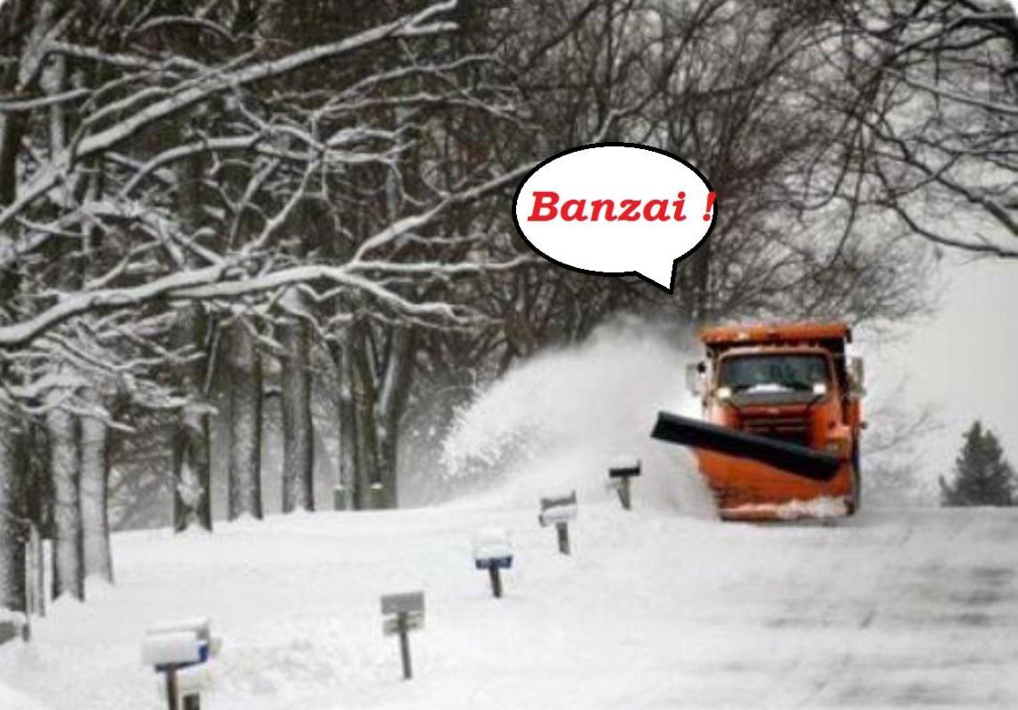 vb4lTbSWQcgFIvVwNhgI_Snowplow (2).jpg