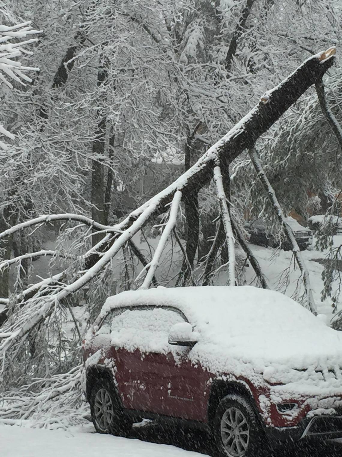 12657187_1017106678348945_4328056932523152832_o