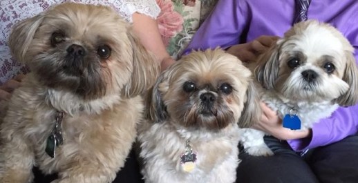 10404474_10208695346211033_6595285097295509239_n