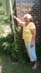 IMG_20150831_115247090