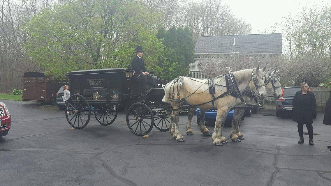 13120402_10208881373207315_300490202_o