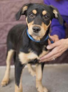 3f59de5e-d09d-4681-b684-0f2be144812d