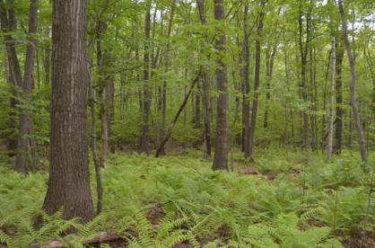 19b71534-ec5b-45fa-8dab-57c223ffb110