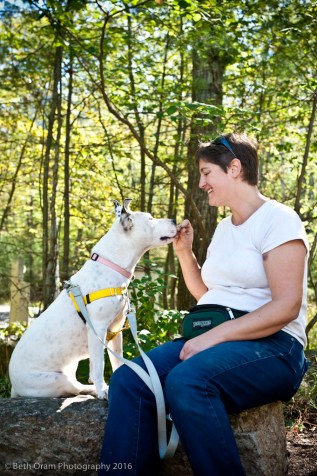 oram_160926_pigeon-2