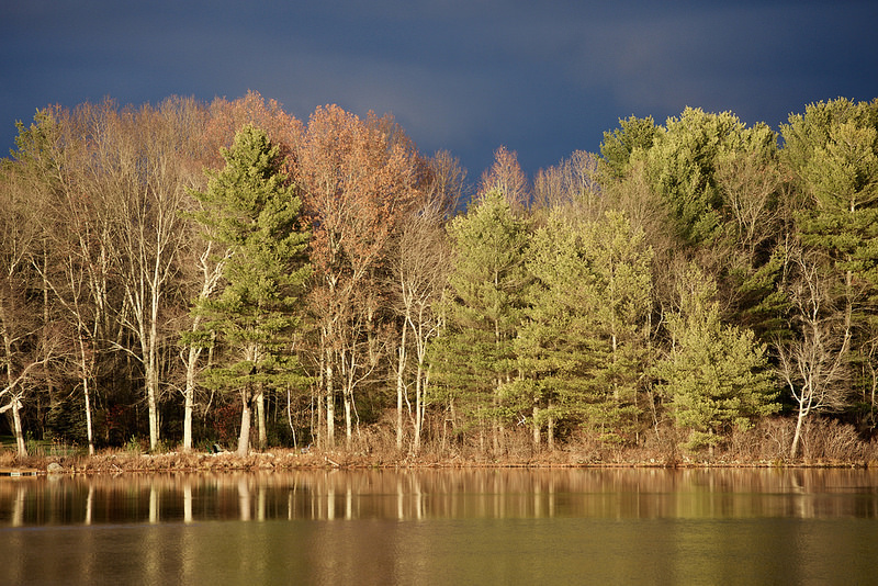 30438144744_98b9b5a245_c