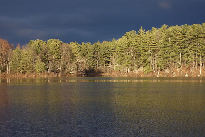 30451748263_4cf020afa4_c