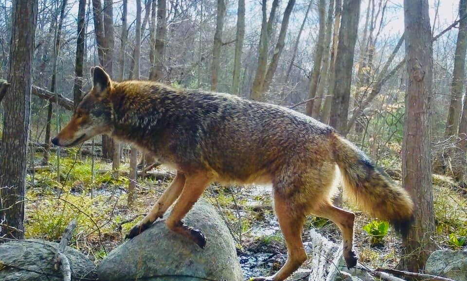 94341819_10222649102361825_2223405449883942912_n